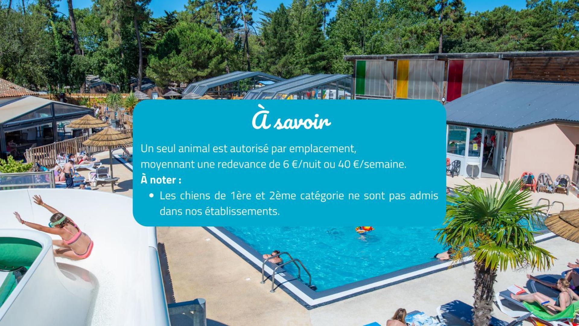 Camping Signol Boyardville Екстериор снимка
