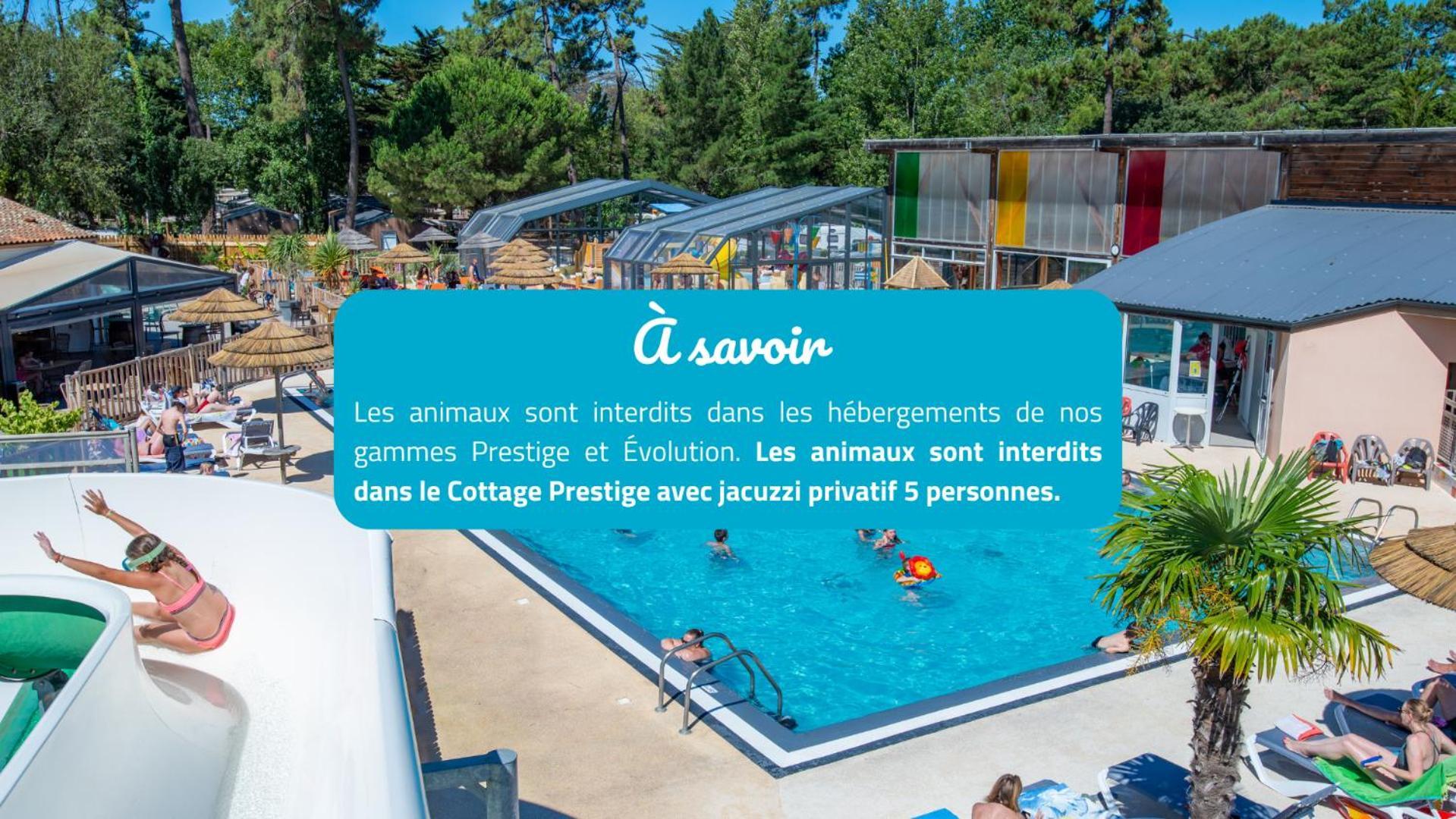 Camping Signol Boyardville Екстериор снимка