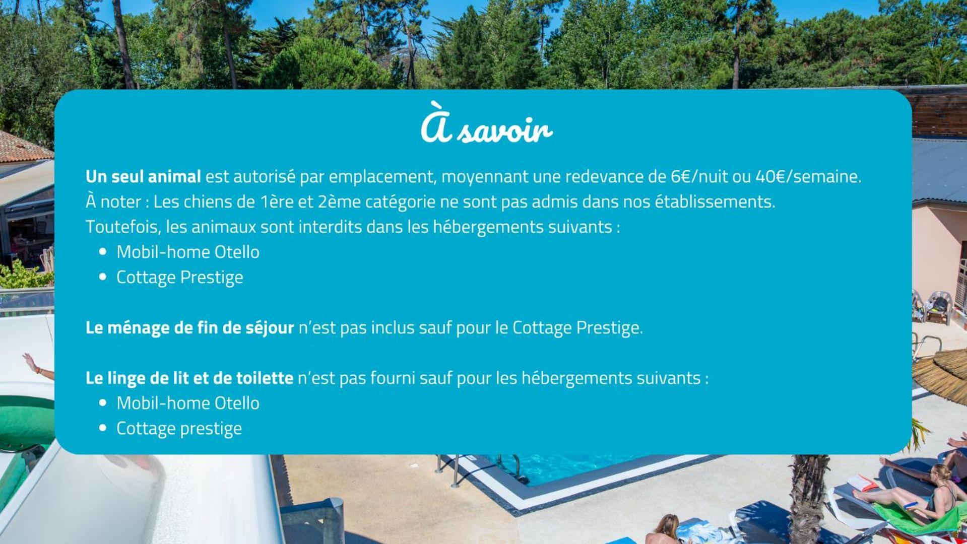 Camping Signol Boyardville Екстериор снимка